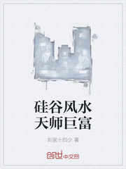 硅谷风水天师巨富